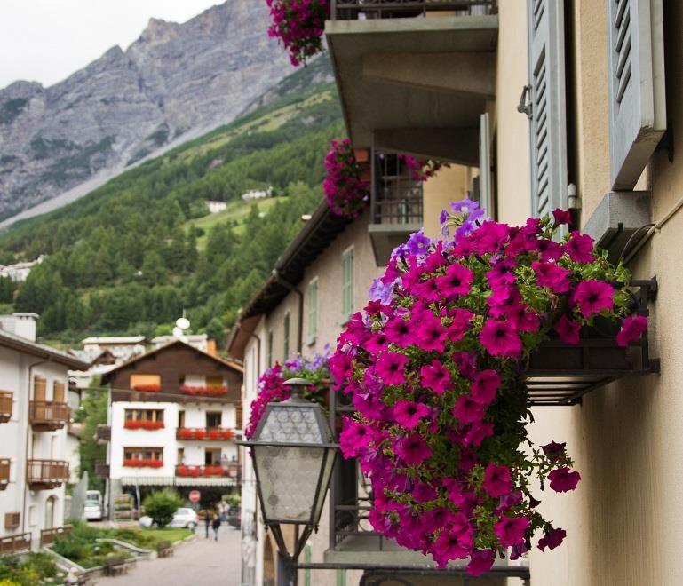 Meuble Albergo Dante Bormio Eksteriør billede